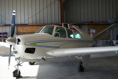 P-35 Paint Scheme Layout